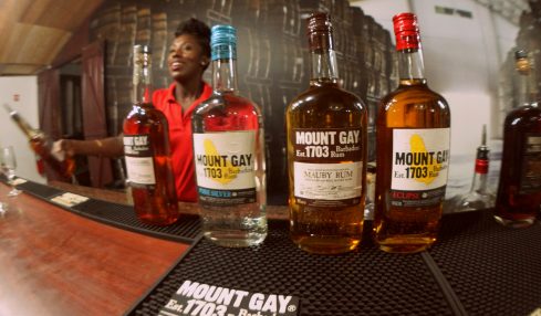 Tasting Room at the Mount Gay Visitors Center in Barbados