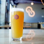 Visiting Other Half Brewing in New York City